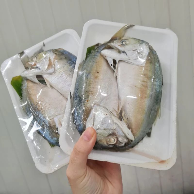 ปลาทูนึ่ง