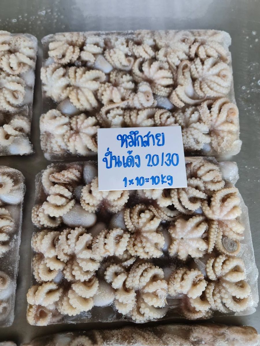 หมึกสายเรียงสวยทุกบล็อก