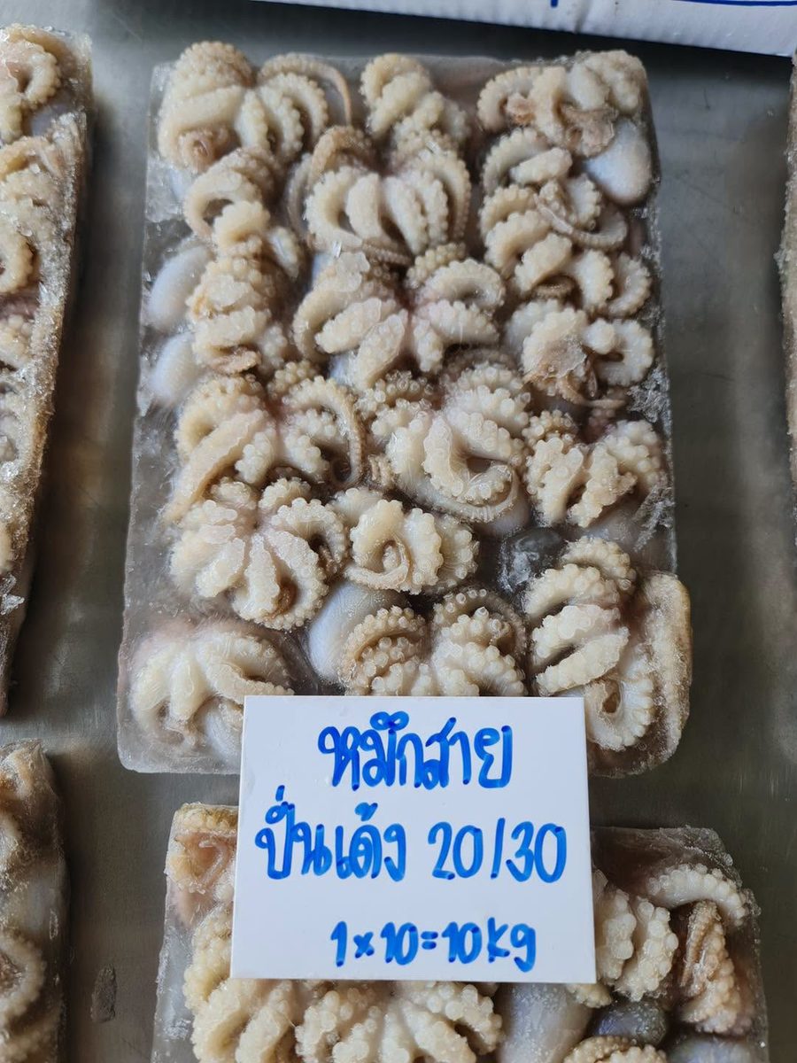 หมึกสายปั่นเด้ง 20/30
