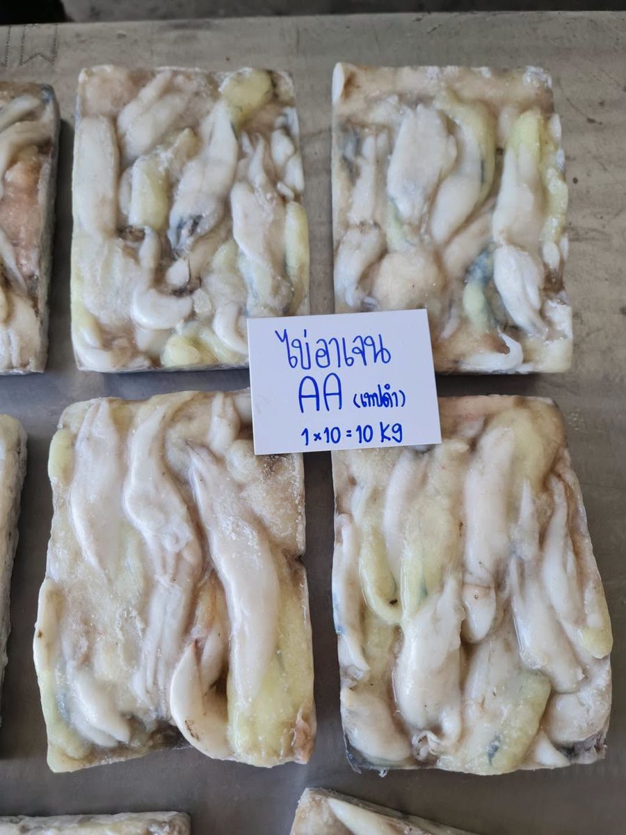 ไข่อาเจน AA (เทปดำ)